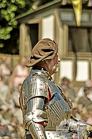 Knighted Knight White Beard