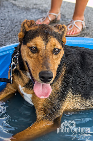 Cooling off pool
