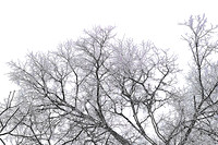 Fine Art Prints