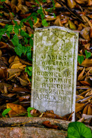 Maplewood Cemetery Pulaski TN