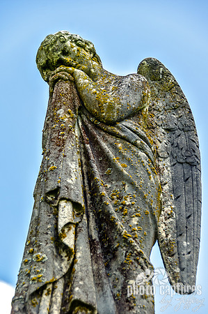 Closer view Winged Angel resting