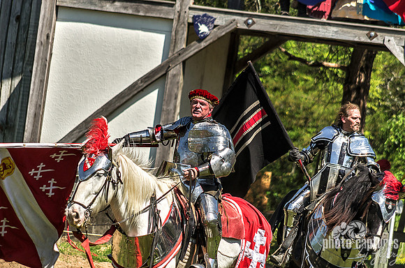 Medival Renaissance Knights
