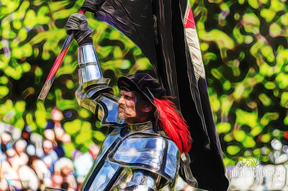 Knight Renaissance Festival Holding Flag Up
