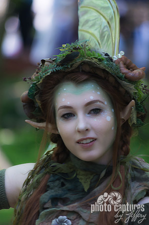 Fairy Glow Renaissance Festival