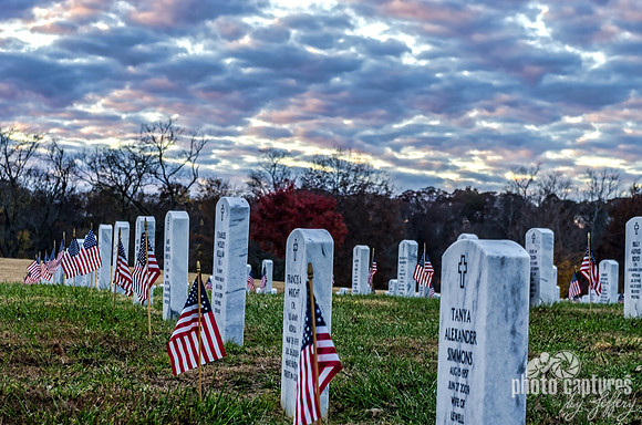 Middle Tennessee Veterans Cemetery Veterans Day Flags