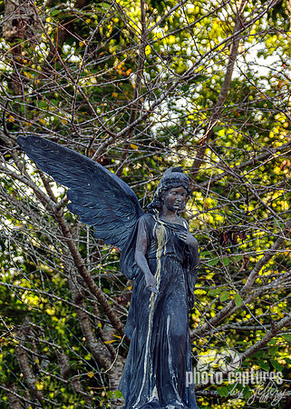 Full View Angelic Winged Female Angel