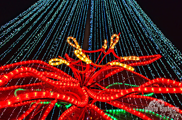 Floral Lit Below Tree Of Lights Country Christmas Nashville TN