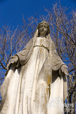 Barren Trees with Long Flowing Female Sculpture