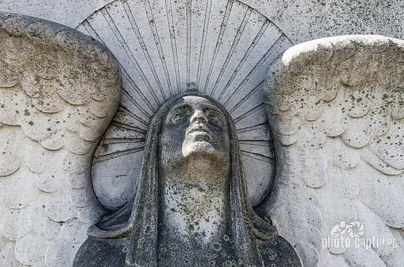 Beam of Light Archangel Mount Olivet Cemetery