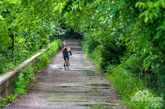 Bicyclists riding down trail Radnor Lake