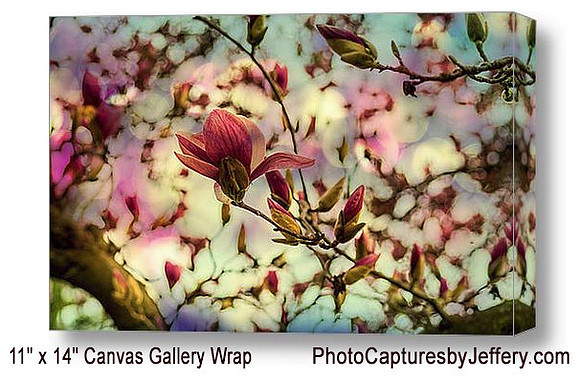 Magnolia Gallery Wrap With Text