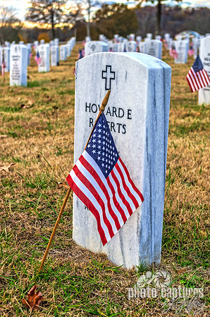 Veterans Day Flag Middle Tennessee Veterans Cemetery