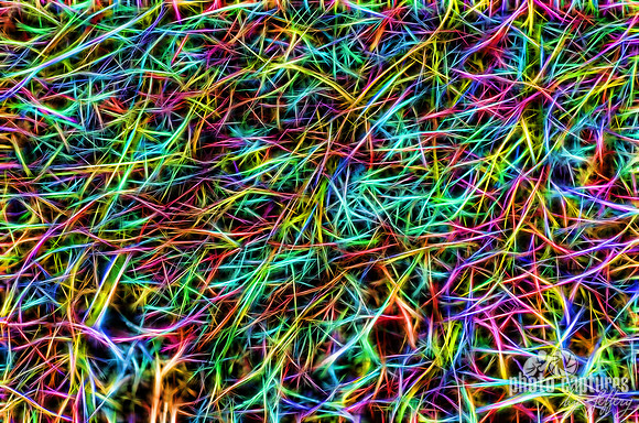 2015 Ice Storm Colors