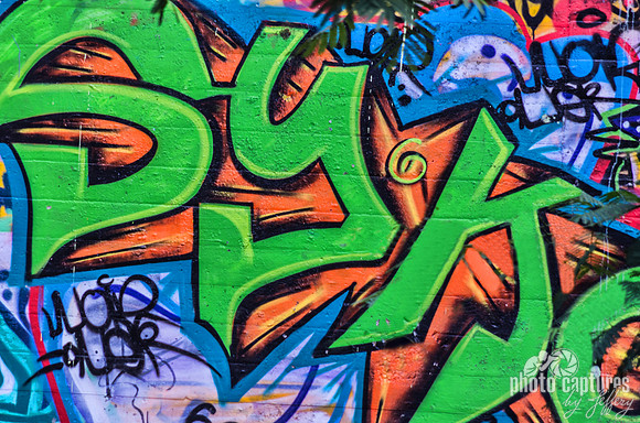Bold lime green letters graffiti Richland Creek West Nashville