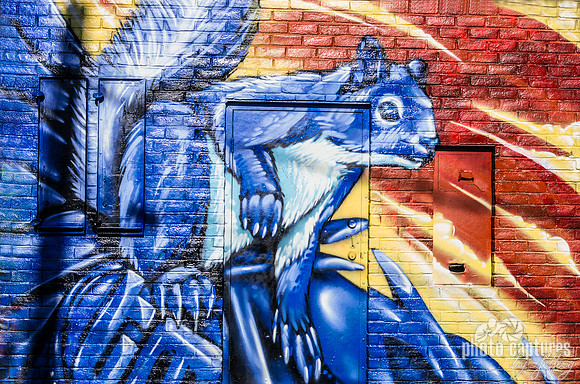 Blue squirrel of justice graffiti art