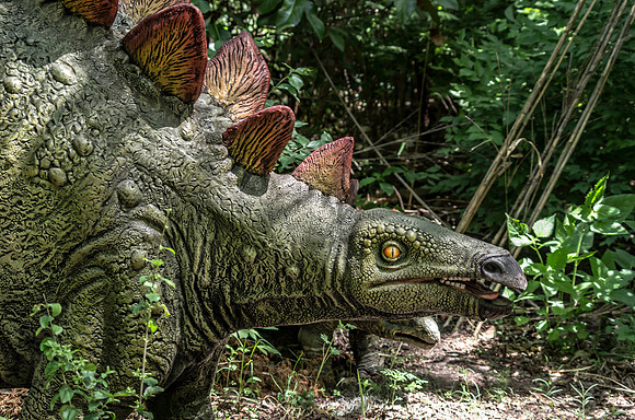 Stegosaurus III