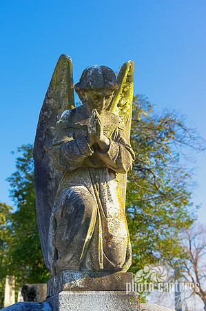 Front view of winged male angel
