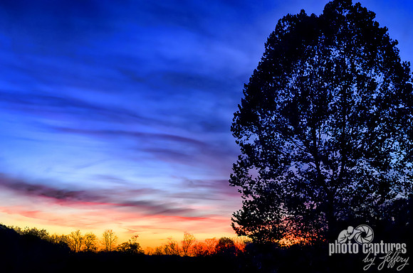 Blue sky sunset Edwin Warner Park