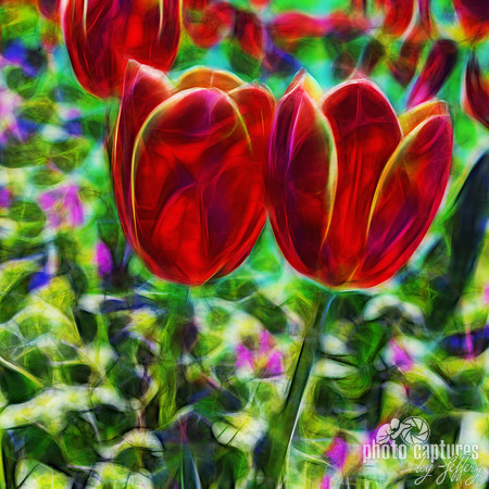 Artistic rendering of two Red Electric Tulips Sunken Garden