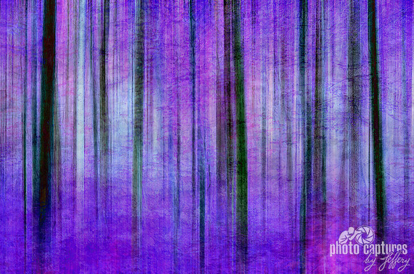 Purple delight streaks of trees artistic effect version two