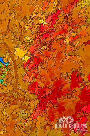 Orange red leaf digital abstract