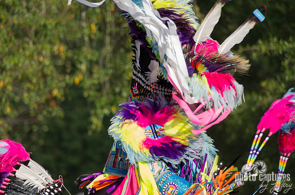 Fancy Native American Dancer