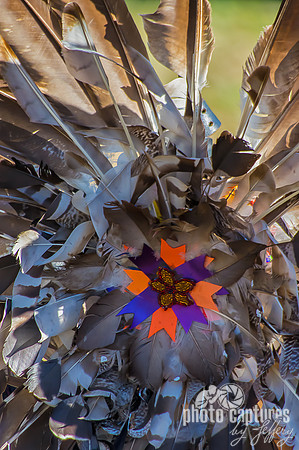 Colorful center of feather bustle