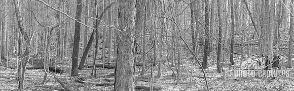 Black and White panorama of paparazzo