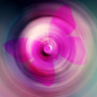 Psychedelic Magical Circles