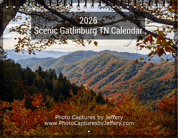 Screenshot 2025-07-03 at 19-28-40 Create Photo Calendars