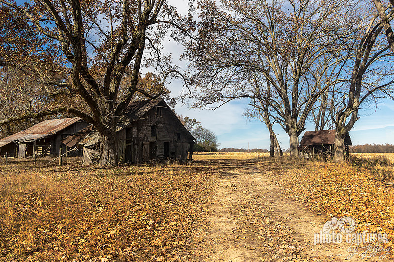 Photo Captures by Jeffery | Country Barns and Buildings | Dirt road ...