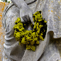 Photographic Art