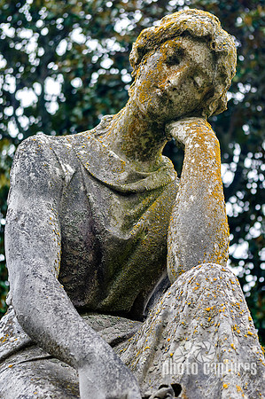 Female sculpture head on hand Maplewood Cemetery