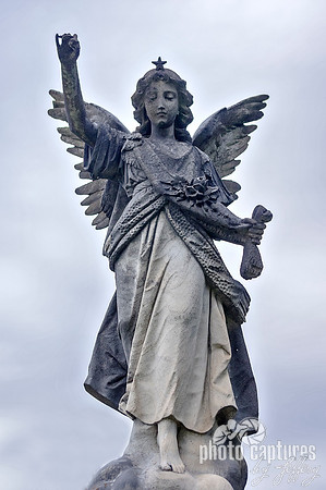 Striking winged angel Maplewood Cemetery Pulaski TN
