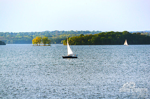 Sail boat coming into frame Percy Priest Lake
