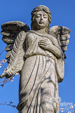 Female Angel Hand Over Heart Joelton Hills