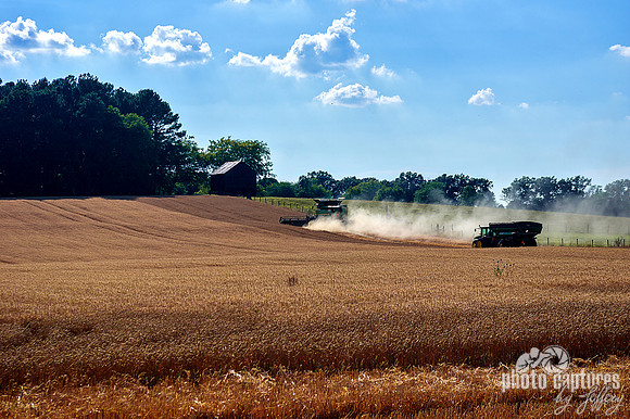 Combine followed by tractor in wheat field