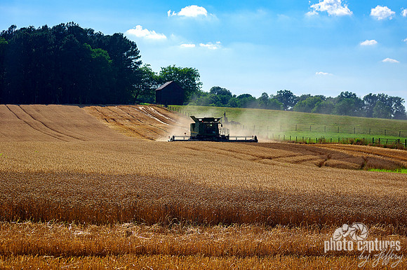 Combine harvester cloud of dust