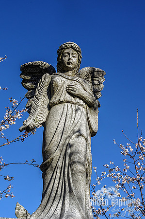 Elegant Angelic Female Sculpture Joelton