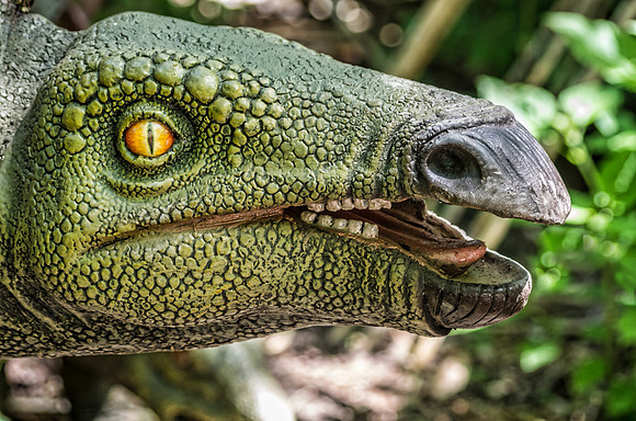 Stegosaurus II