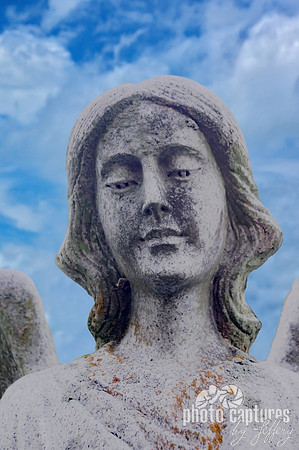 Close portrait view of female winged angel