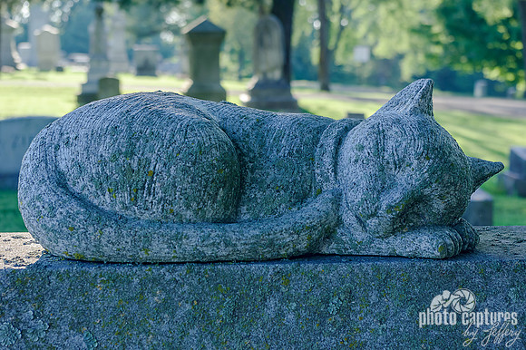 Feline Sculpture Elmwood Cemetery