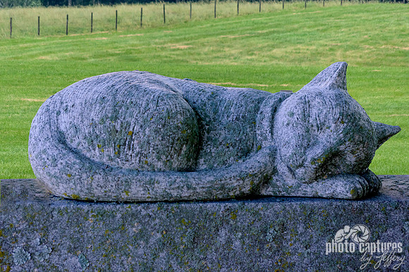 Feline sculpture with field background