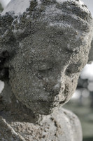 Elmwood Cemetery Springfield TN