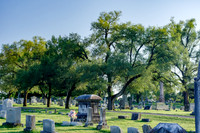 Elmwood Cemetery Springfield TN