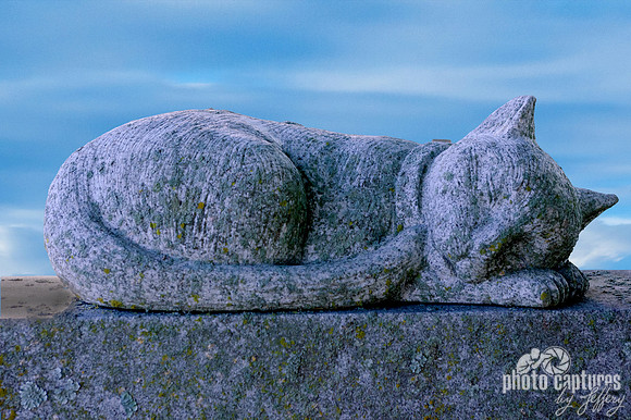 Feline sculpture in the skies