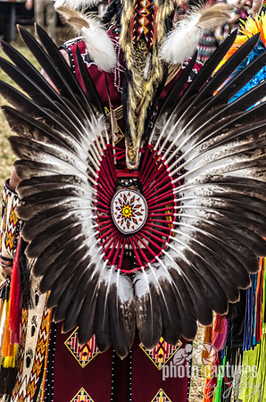 A colorful tail feather on dancer Mount Juliet Powwow