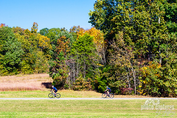 Two bicyclists on the Natchez Trace Parkway