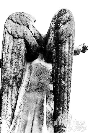 Winged angel black and white Mount Olivet Cemetery