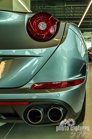 Silver Ferrari Taillight Portrait View